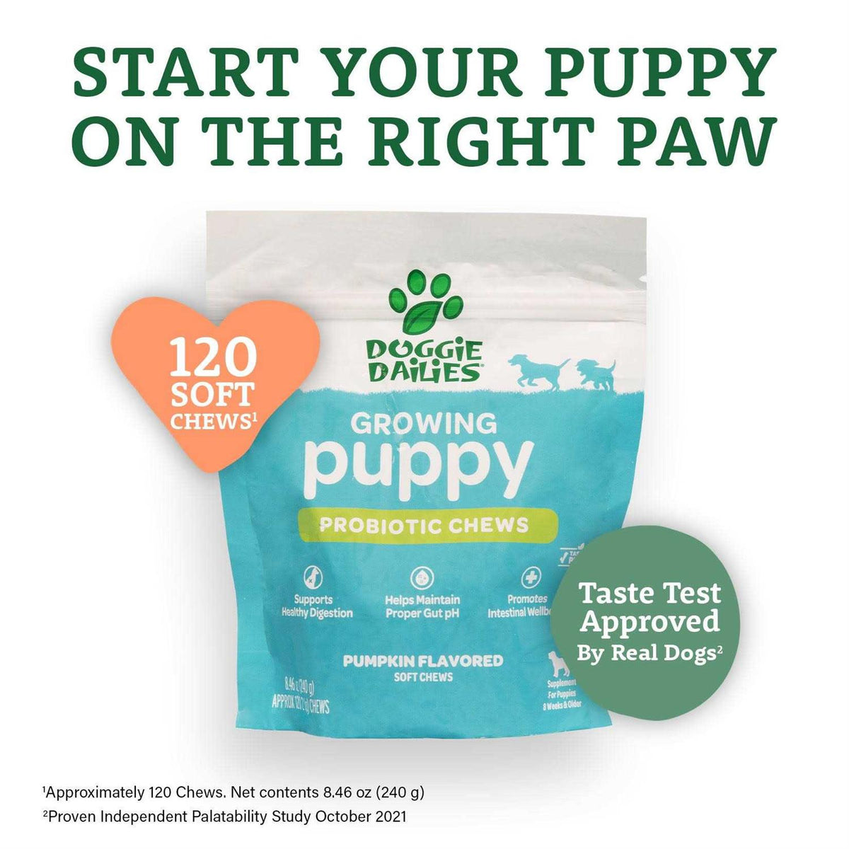 Puppy Probiotic with Digestive Enzymes Z958