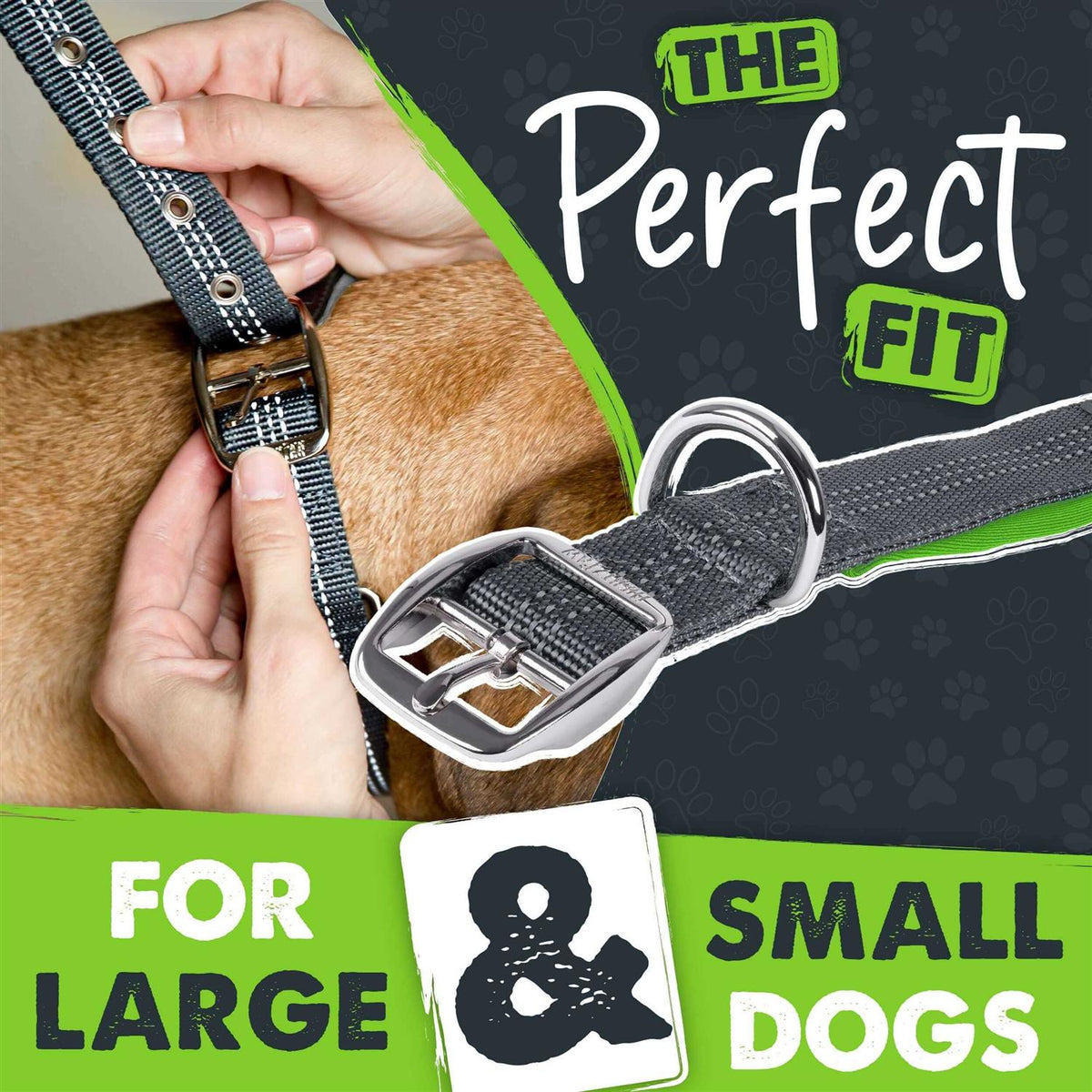 Dog Collar G67566