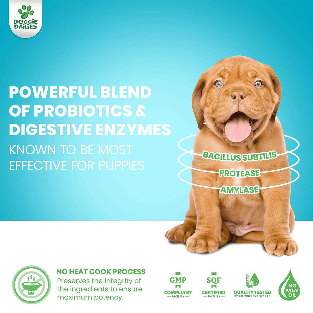 Puppy Probiotic with Digestive Enzymes Z958