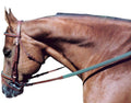 Leather Padded Flat Bridle COB Oakbark/Grn V3010