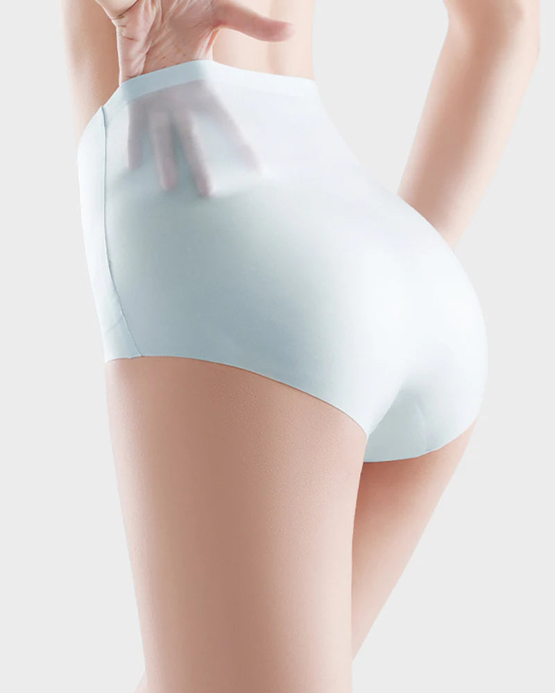 Seamless High-Waist Tummy Control Panties 4 Pack X853