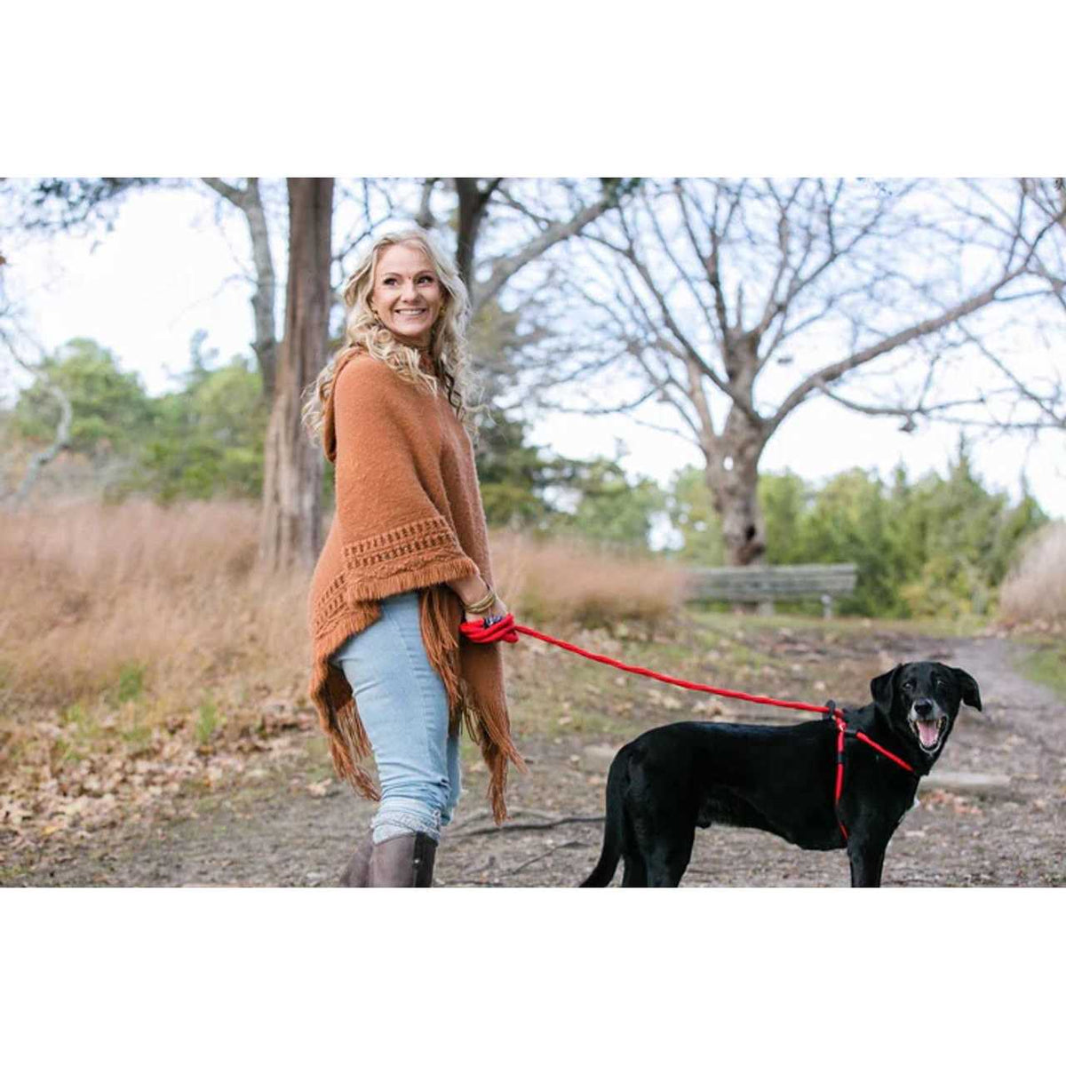 Dog Harness Q9884