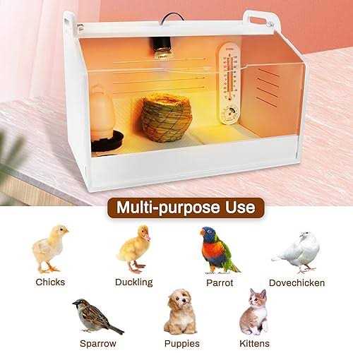 Chick Brooder Box with Heating Lamp I631