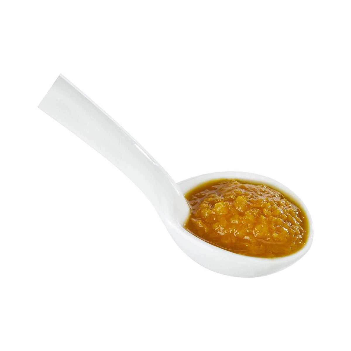 Pumpkin Soup Puree Dog Meal Topper V7005