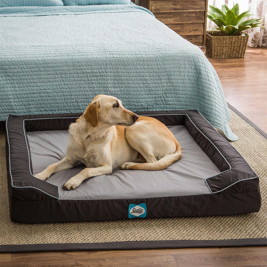 Memory Foam Dog Bed V127297