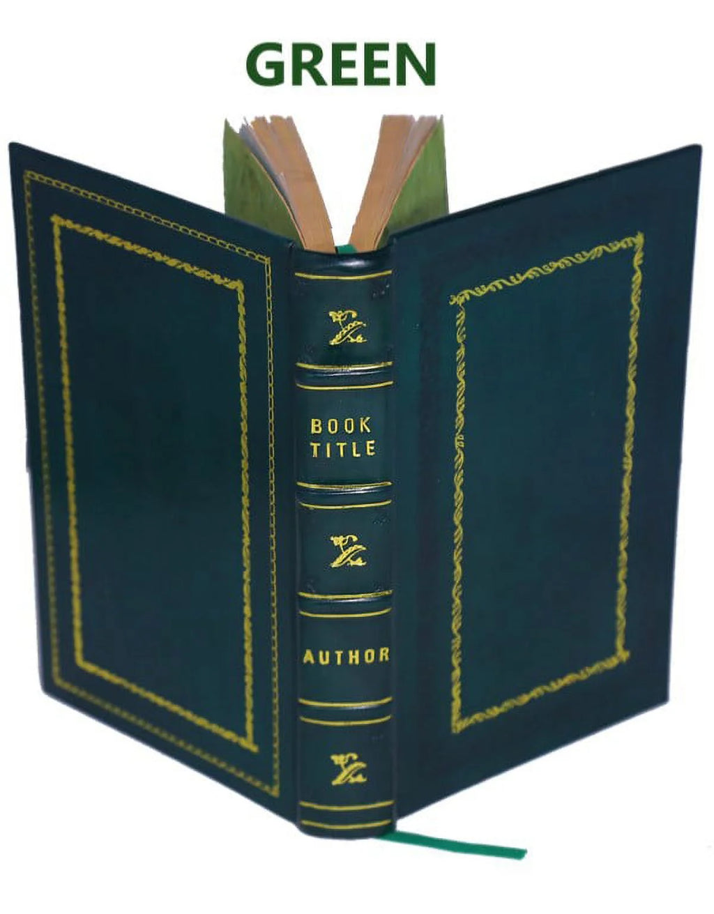 Premium Leather Bound C331