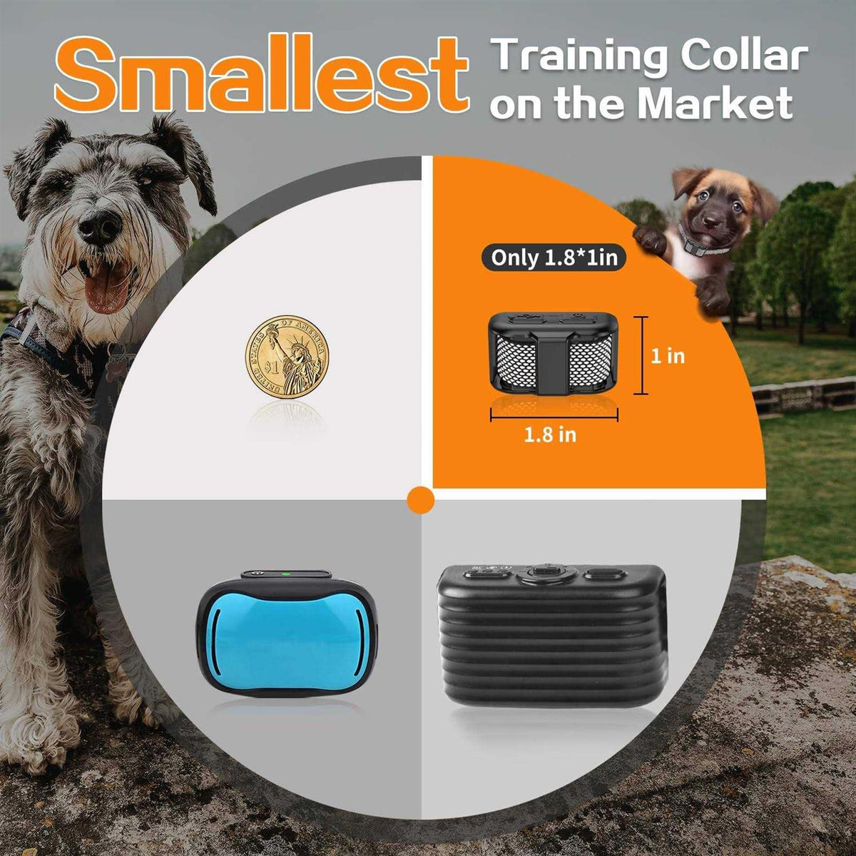 Lightest Dog Training Collar with Remote K681978