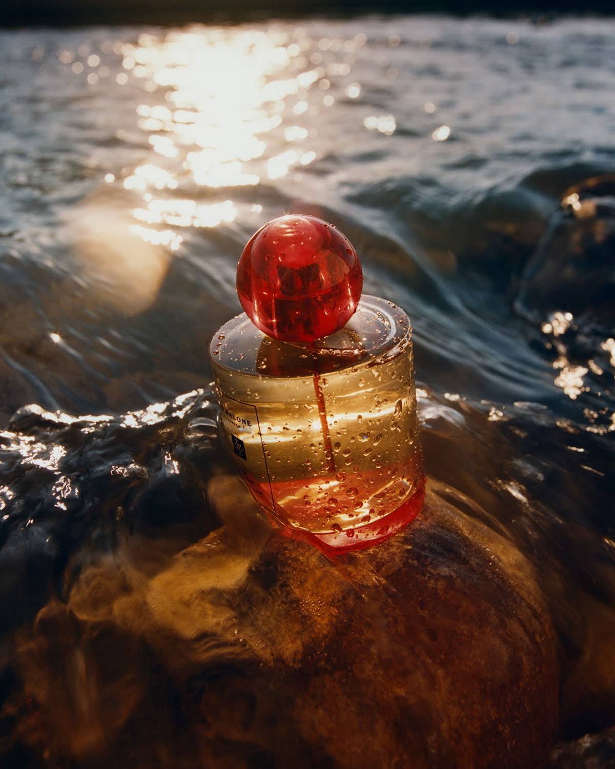 Red Hibiscus Cologne Intense K6865